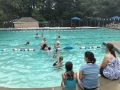 Pool Action