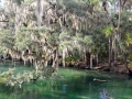 riveroaks2